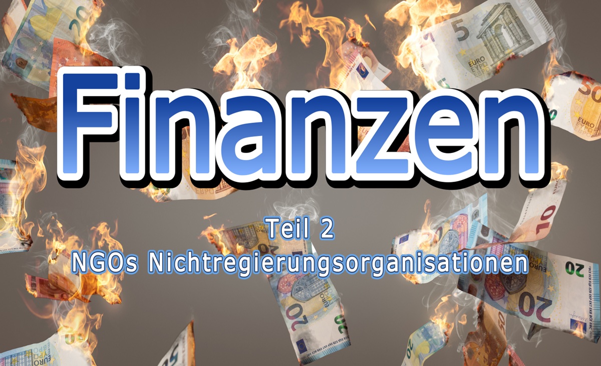 Finanzen II: NGOs - Nichtregierungsorganisationen